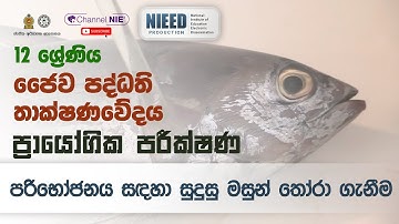 A/L BST (ජෛව පද්ධති තාක්ෂණවේදය) ප්‍රායෝගික පරීක්ෂණ 1 | පරිභෝජනය සඳහා සුදුසු මසුන් තෝරා ගැනීම