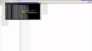 ejemplo virus.flv