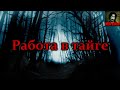 Истории на ночь - Работа в тайге. Начальство распорядилось людей туда больше не пускать