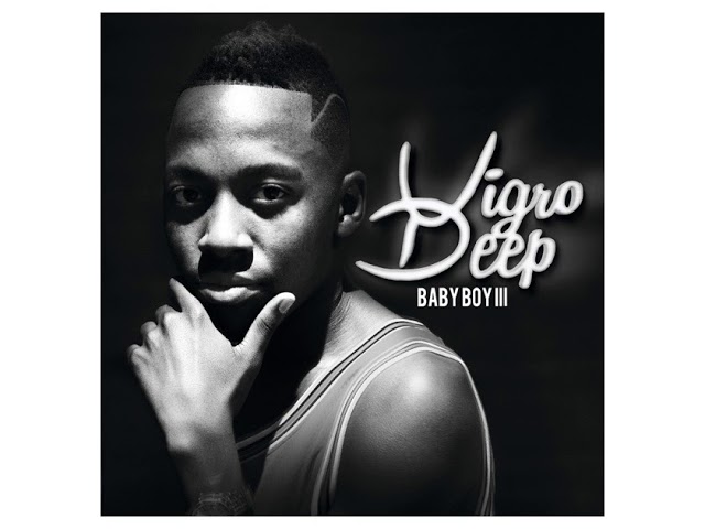 Untold Stories (Official Audio) | Vigro Deep - Baby Boy III