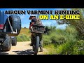 Airgun hunting on 2wd ebike