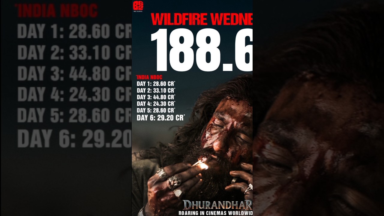 Dhurandhar 6 Days Collection Details