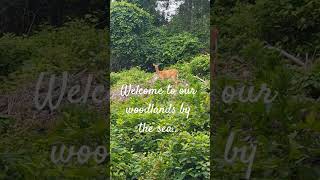 Who lives near you