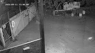 20250911 2330 2346 VCAM Time Capsule