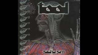 Tool - Schism B Backing Track