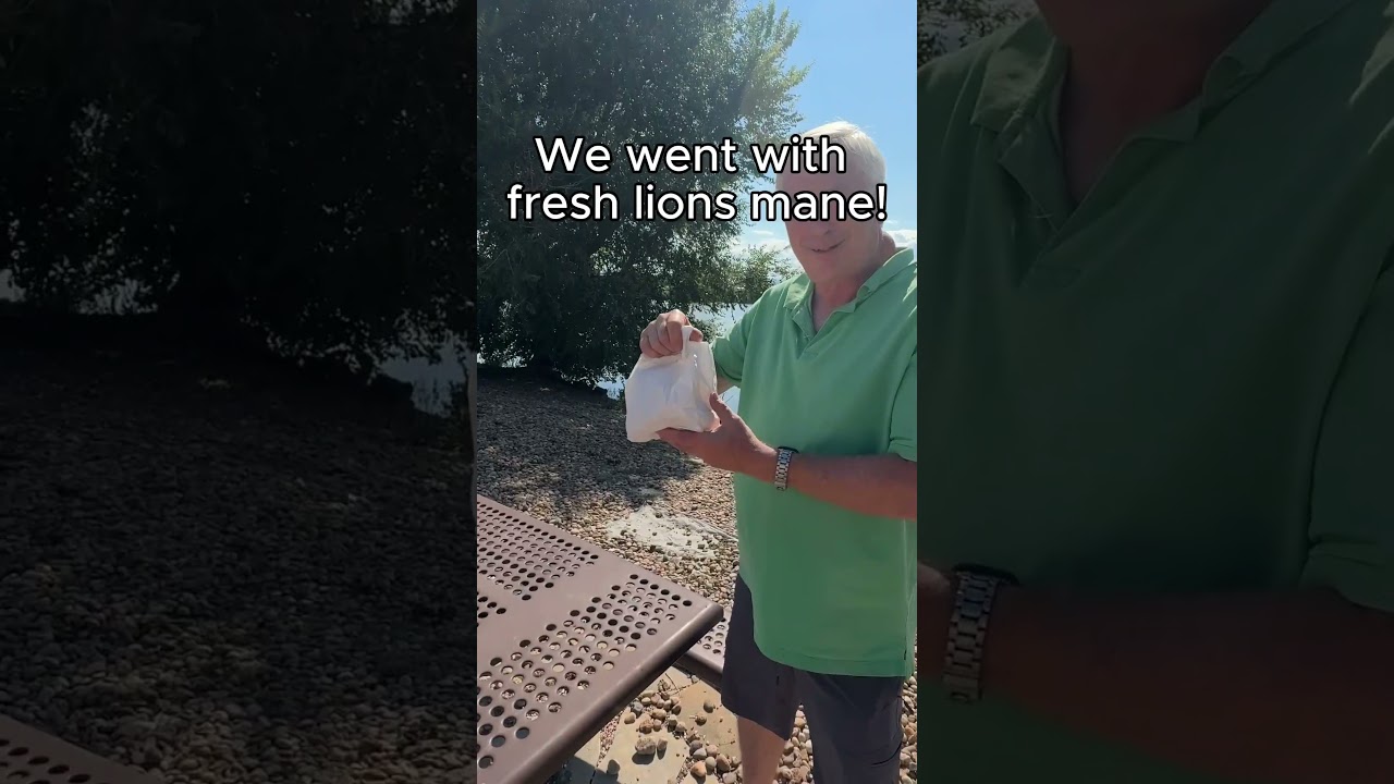 Mushroom Extraction anyone?