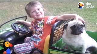 Boy And Pug Had The Best Friendship The Dodo