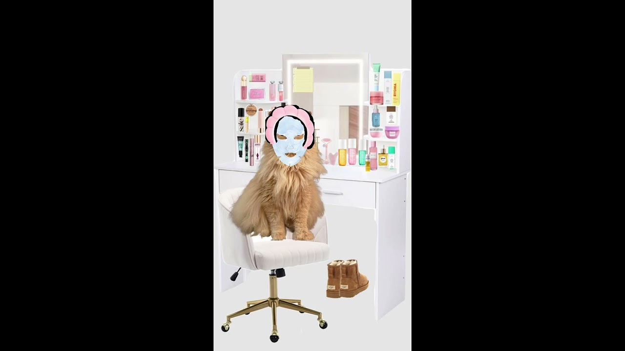 My morning furcare routine 😻🧴