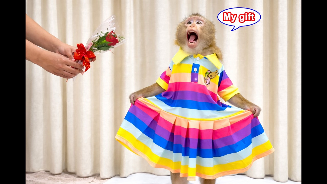 Lyly the monkey was HAPPY to receive many gifts from her neighbors on her special day.