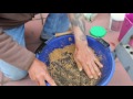 homemade bird and fishfood pelletmill