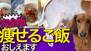 【犬　ダイエット】3ヶ月で ◯kg痩せた！？簡単ダイエット法について解説