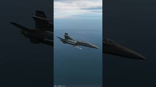 DCS #shorts | F-18C Hornet providing CAP over Iranian coast P3