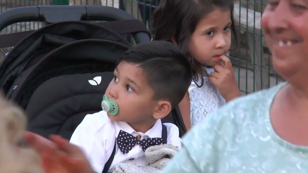 dimetoka ahmet pasanin dogum gunu 13/8/2024