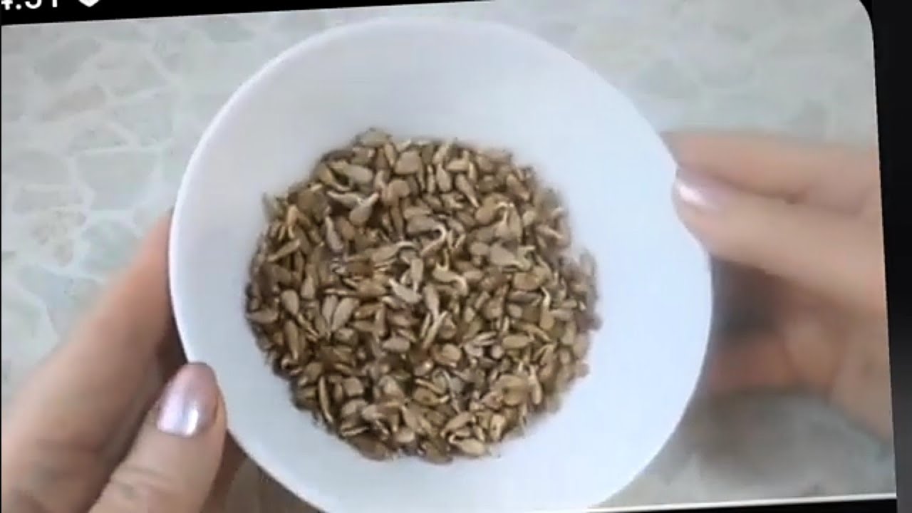 #СЕМЕЧКИ #ПОДСОЛНЕЧНИКА ПОДНИМУТ #ГЕМОГЛОБИН. ПЛЮС МОЯ ЕДА🤗