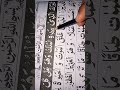 Surah Mulk Beautiful Verse