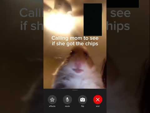 Calling mom to see if she got the chips