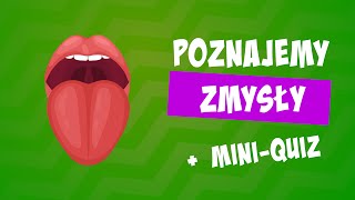 Zmysły 👅👃🤚 zmysł smaku, zmysł węchu, zmysł dotyku