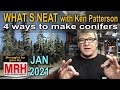 Four kinds of conifers | January 2021 WHATS NEAT Model Railroad Hobbyist