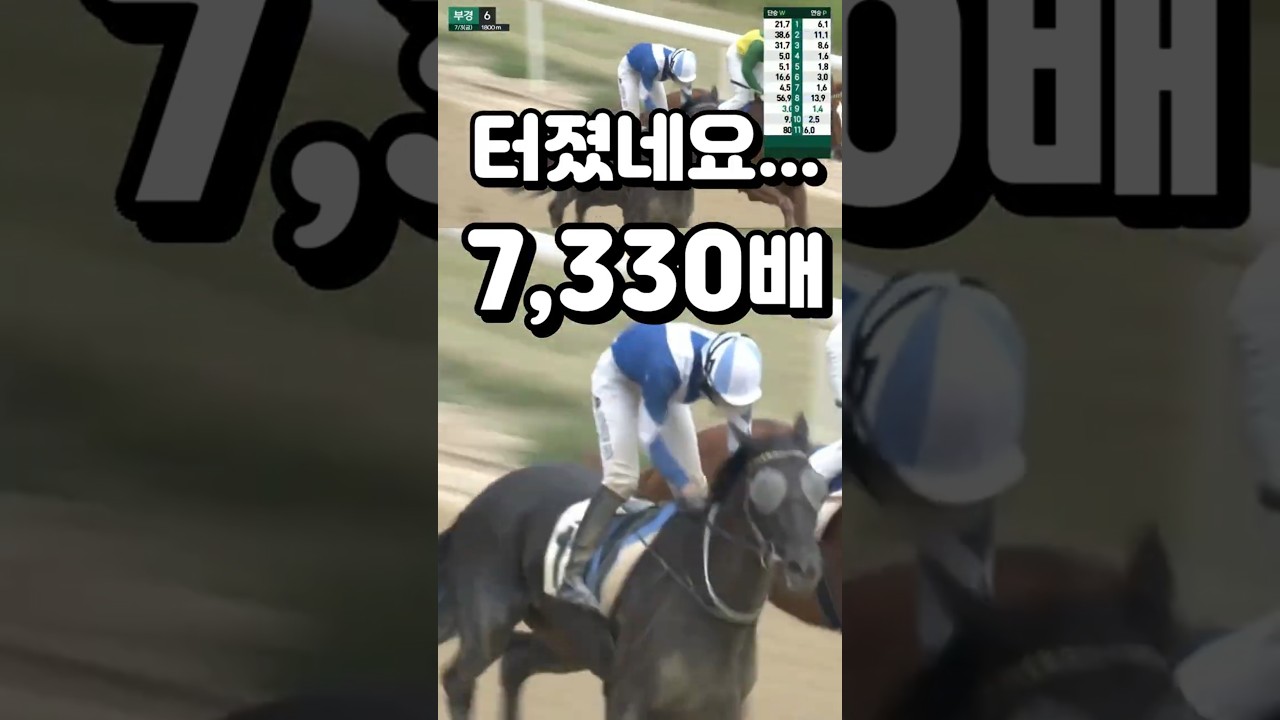 ⚡삼쌍7,330배🎯 5, 6등급 장거리 경주🥎예상하기 어렵죠😊신윤섭 기수💕경마예상🎈경마방송🐎경마예상방송🫏경마하이라이트🥎경마실시간🚩경마예상가🏐경마정보🐎토요경마⚡일요경마 😊금요경마