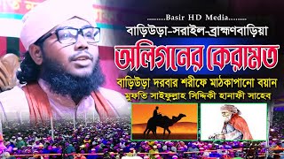 অলিগনের কেরামত । বড় পীরের কাহিনী । সিদ্দিকীর ওয়াজ । মুফতি সাইফুল্লাহ সিদ্দিকী হানাফী সাহেব