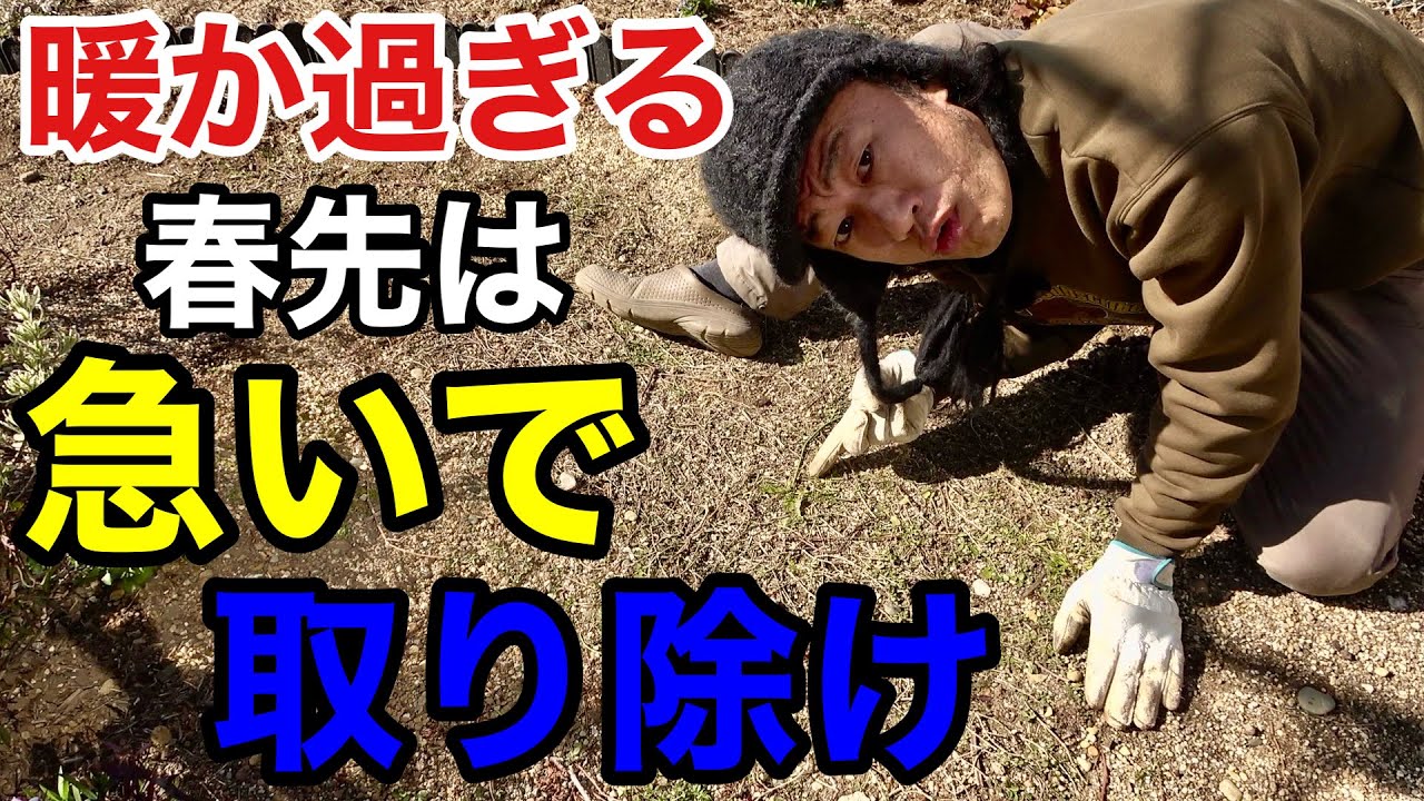 春の明暗をわける案外重要な庭作業　【園芸超人カーメン君】