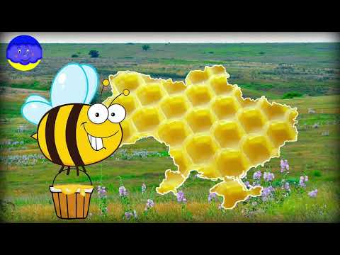 Казка "Пасіка Україна" Дара Корній