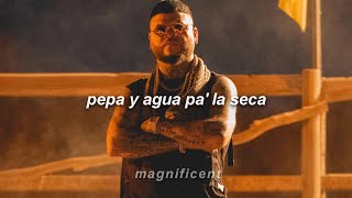 Farruko - Pepas (Letra/Lyrics)