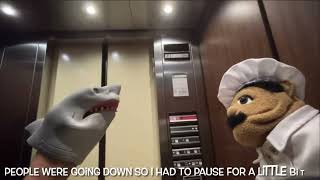 Shark puppet goes on an elevator part 189