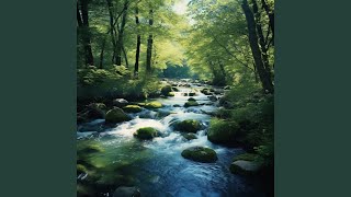 Gentle River Study Harmony