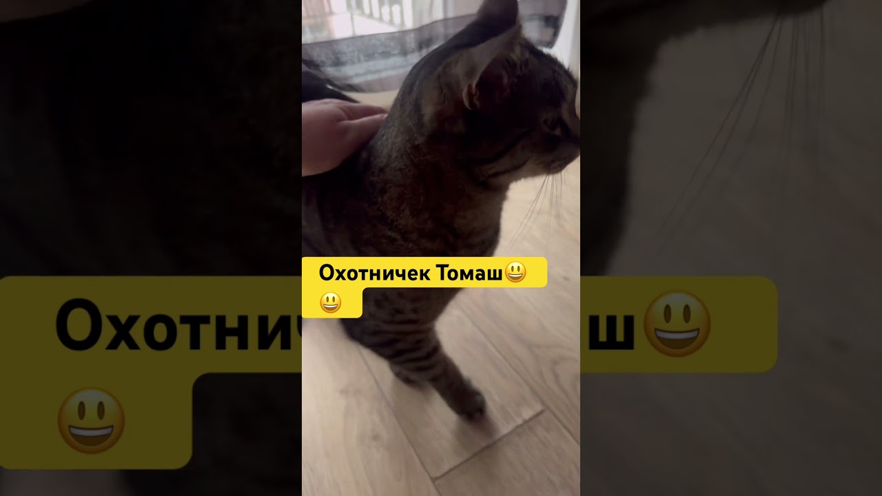 Идет охота на…