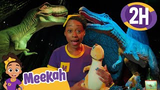 Meekah’s Dino Rescue Mission! 🦖💚 Finding the Lost Dino Sister | Meekah