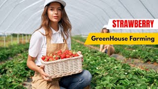 Strawberry in Greenhouse - A Modern Agriculture Farming Method