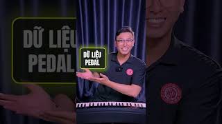 Hướng Dẫn Thu Midi Từ Đàn Vào Máy Tính Để Làm Piano Tutorial Siêu Đơn Giản Chỉ Với 3 Bước? screenshot 2