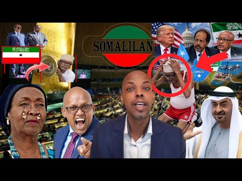 Diblamasiyadii ciro oo isubadashay doqonimo dhagayso libaan alcadaala oo dhulka kujiiday