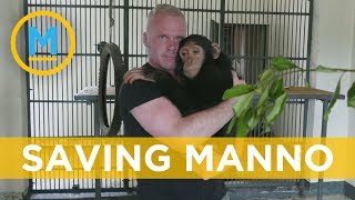 This Canadian teacher saved a chimpanzee from animal traffickers in Iraq | Your Morning