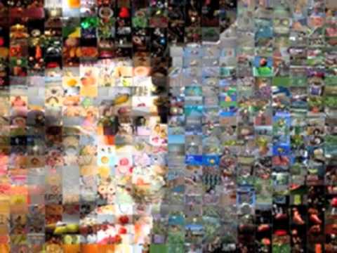 Food-mosaic