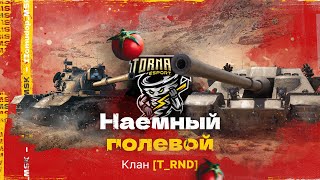 Помидор - наемный полевой T_RND | 1220 ЭЛО НА Х