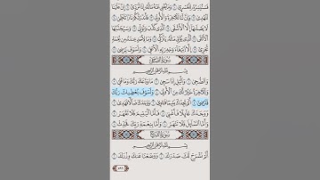 سورة الضحى | تلاوة مؤثرة وهادئة للقارئ عبدالعزيز سحيم#تلاوة_خاشعة #قرآن #راحة_نفسية