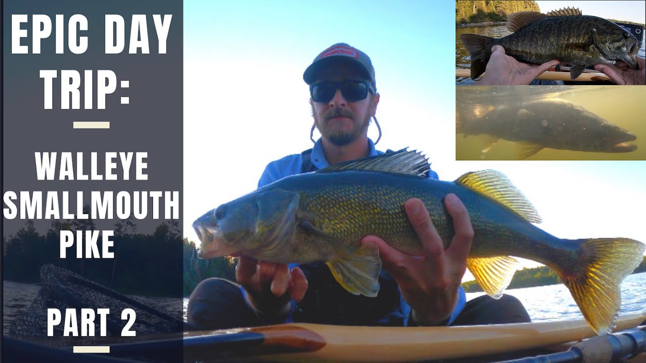 Boundary Waters Fishing Day Trip: Personal Best Walleye x 2