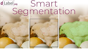 How To Use Smart Segmentation at dLabel.org