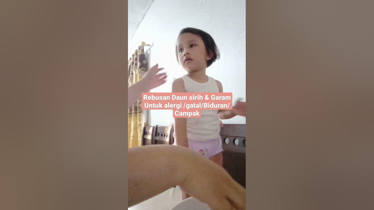 Obat gatal Alergi Campak atau Biduran dengan rebusan Daun sirih & garam #obattradisional #herbal #fy