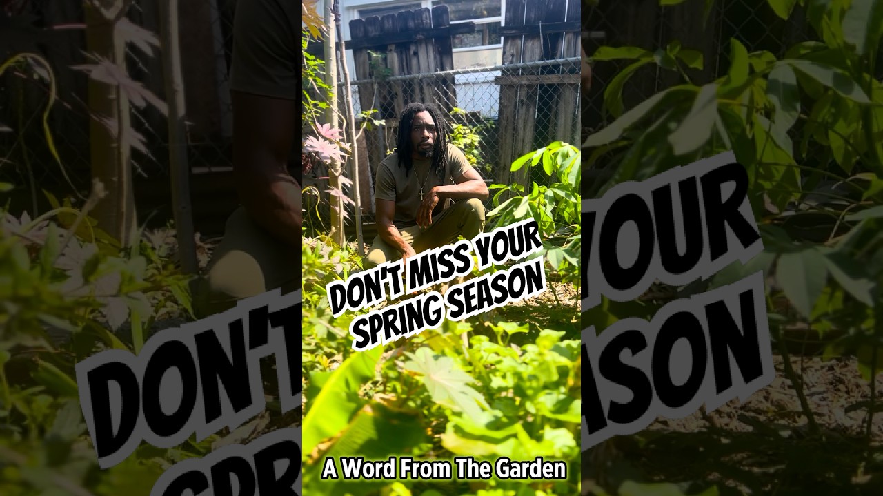 Don’t Miss Your Planting Season 🌱 | A Word From The Garden Don’t Miss Your Planting Season 🌱 | A Word From The Garden