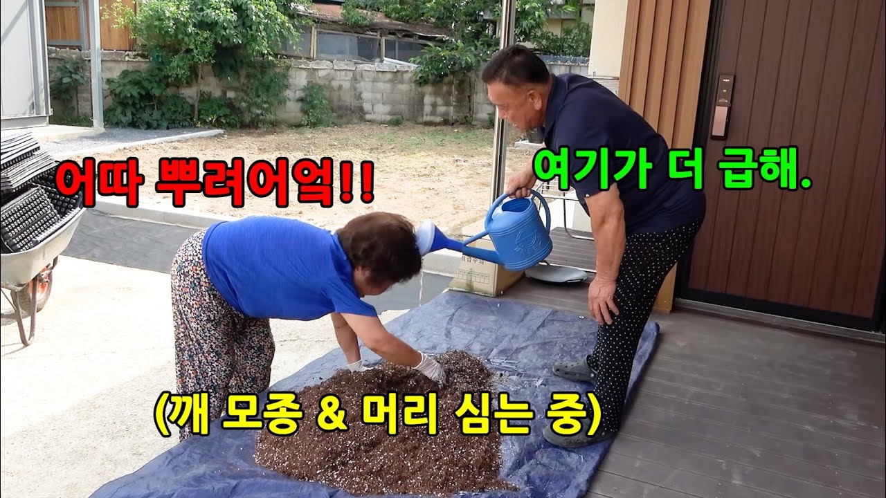 남편이 일하는데 계속 빡치게 한다면?