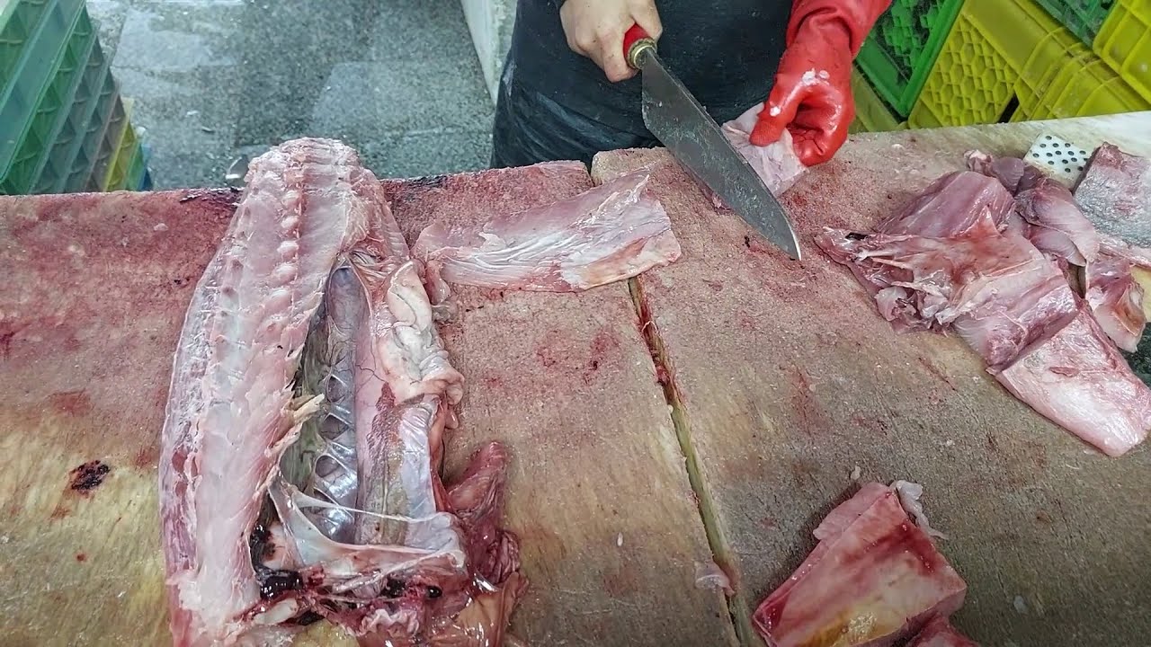 amberjack fish cutting | amberjack fish fillet | fish cutting skills