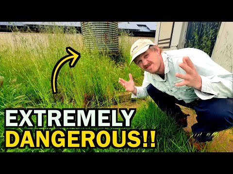 A DEADLY Disaster Waiting to STRIKE! — Neighbors Were TERRIFIED!