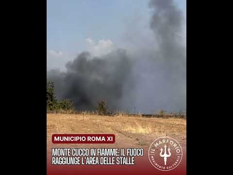 Video Roma, incendio a Monte Cucco: il fuoco raggiunge larea delle stalle