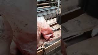 supaya bunga jambu air tidak rontok #hobitanam #kebunsendiri #koleksitanaman #tanyajawab