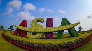 How will the global economy be reshaped in a post pandemic era News