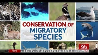 In Depth- Conservation of Migratory Species
