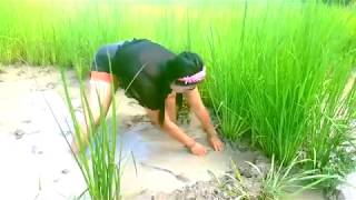 MAMA MUDA SEKSİ DARİ KAMPUNG MENANGKAP İKAN DENGAN TANGAN.